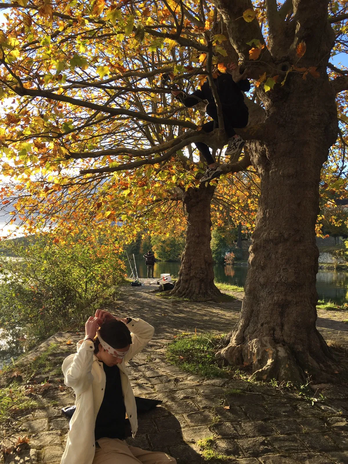 un homme dans un arbre filme