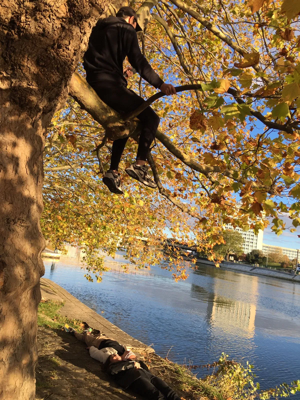 un homme dans un arbre filme