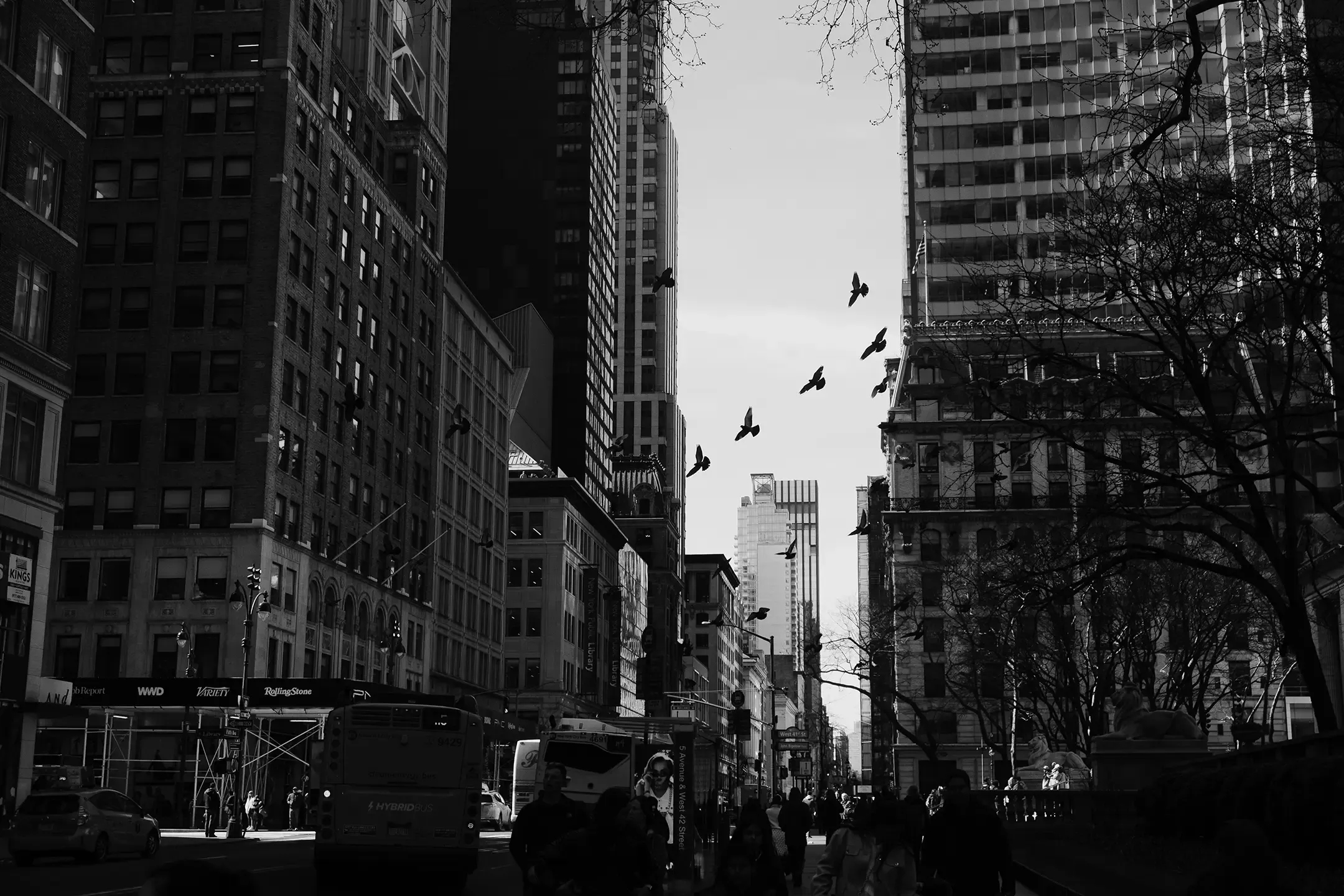 new york rue